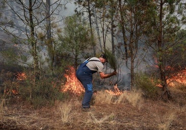 Veinticinco personas han sido detenidas por provocar incendios este verano