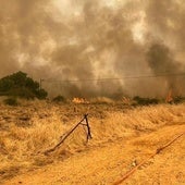 Jaime Aparicio, tercera víctima mortal en España por los incendios forestales