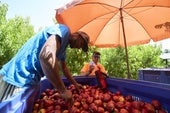 España se mantiene por encima de los tres millones de extranjeros afiliados a la Seguridad Social tras sumar 200.000 ocupados en doce meses