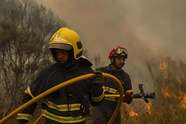 Perder los apellidos