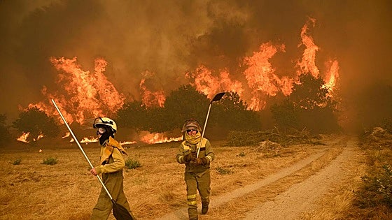 El fuego no da tregua: 1.700 desalojados en Sanabria por el fuego de Orense y cuatro heridos de la UME en León