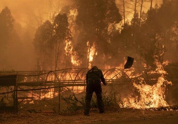 España arde por noveno día consecutivo: más de 40 incendios activos, cuatro muertos y miles de evacuados