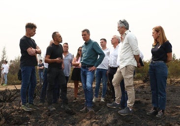 El Gobierno declarará zona catastrófica las áreas afectadas por los incendios