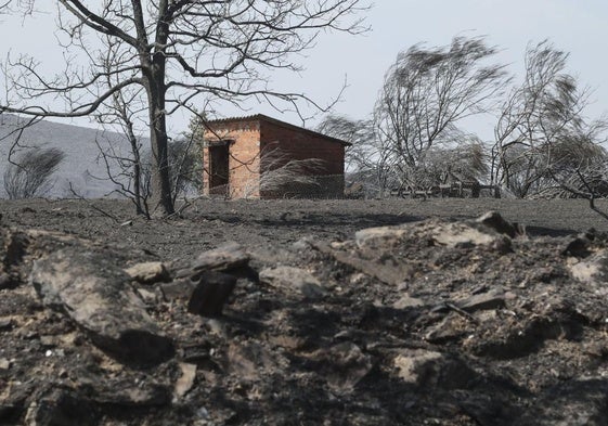Los autónomos piden ayudas de entre 12.000 y 18.000 euros para los afectados por los incendios