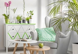 Así se cuidan las plantas para que no se mueran mientras estamos de vacaciones