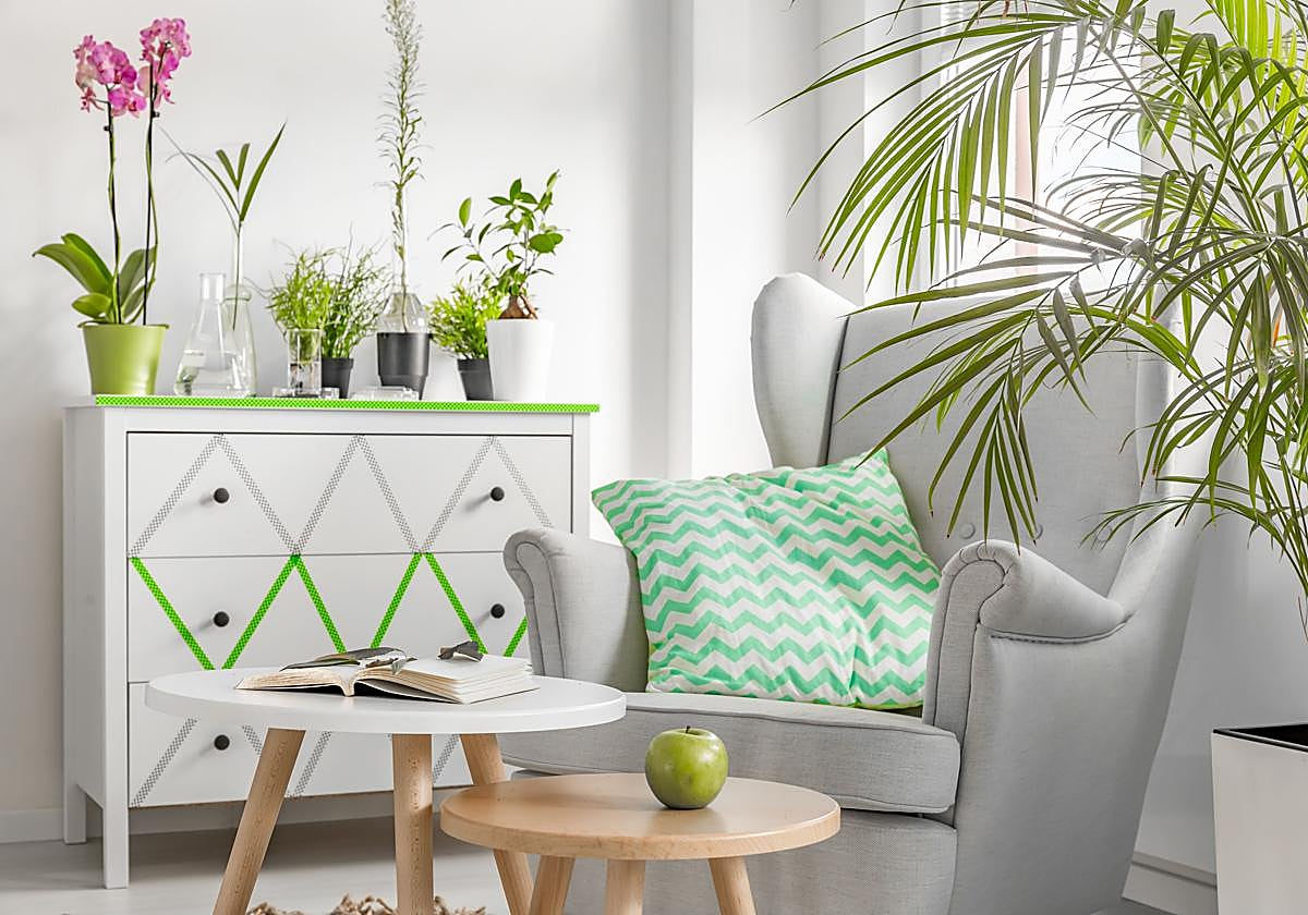 Así se cuidan las plantas para que no se mueran mientras estamos de vacaciones