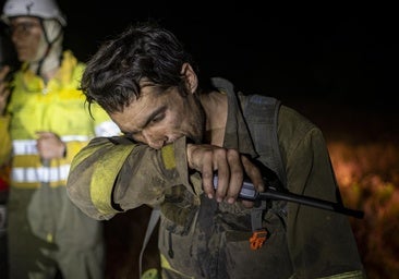 Descienden a 13 los incendios forestales activos y solo uno «desfavorable» en León