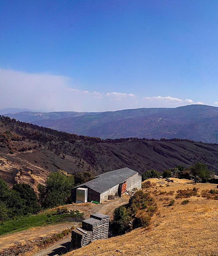 Imagen secundaria 2 - Arriba, el interior de la casa quemada en San Xulian. Abajo, Mangueras y palas usadas para apagar el fuego y alrededores del San Xulian con todo el monte quemado.