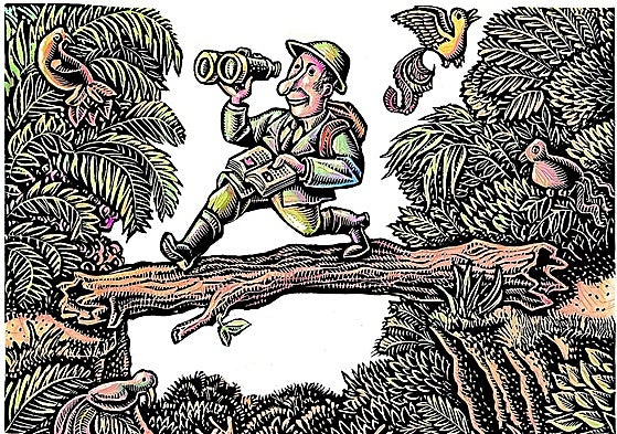 Ni la del cole, ni una de tela: así debe ser la mochila para el monte