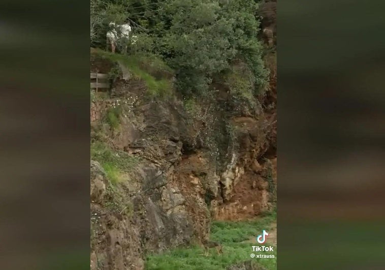 Cabárceno denunciará a tres turistas por colarse en el recinto de los lobos