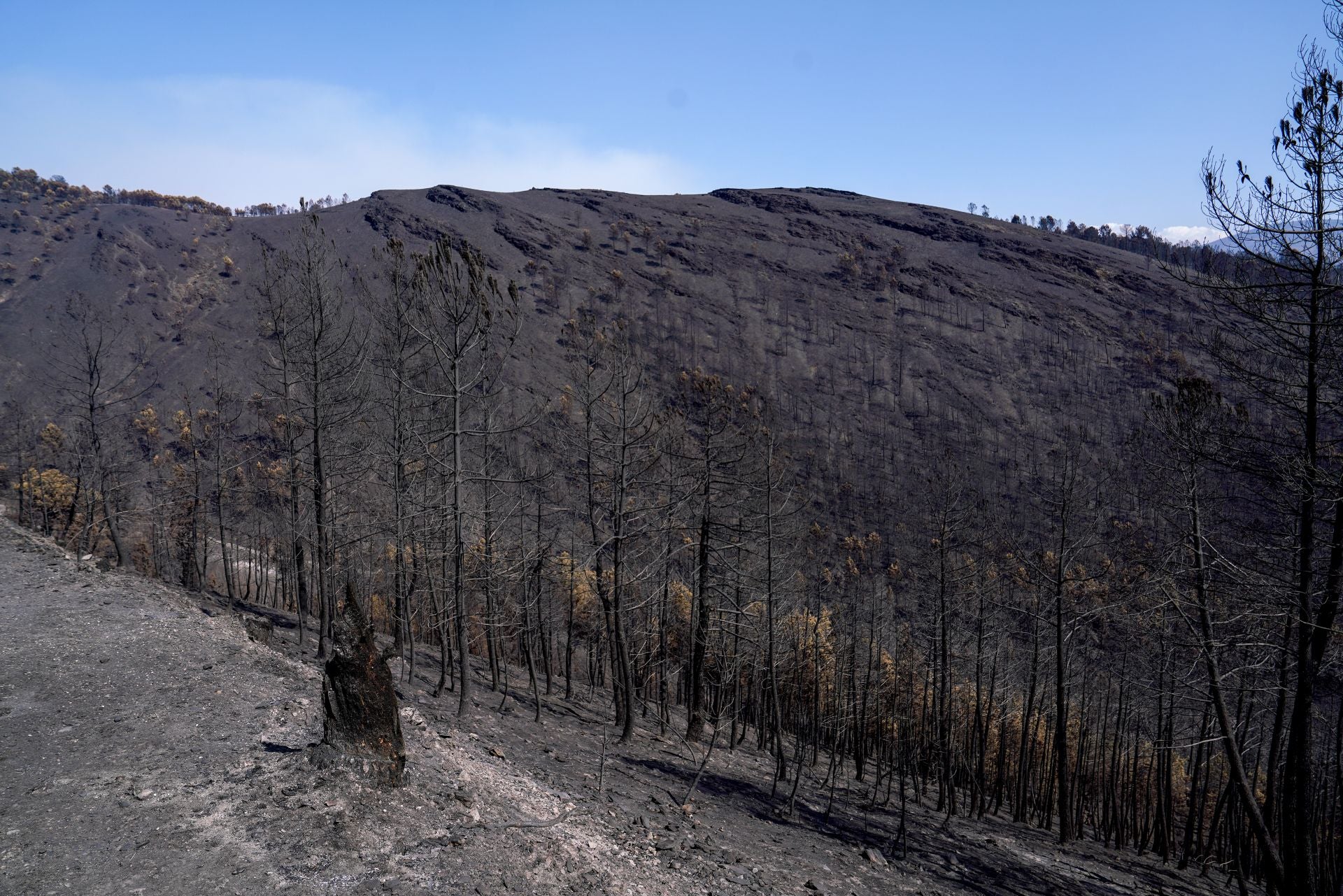 Alrededores del San Xulian con todo el monte quemado.