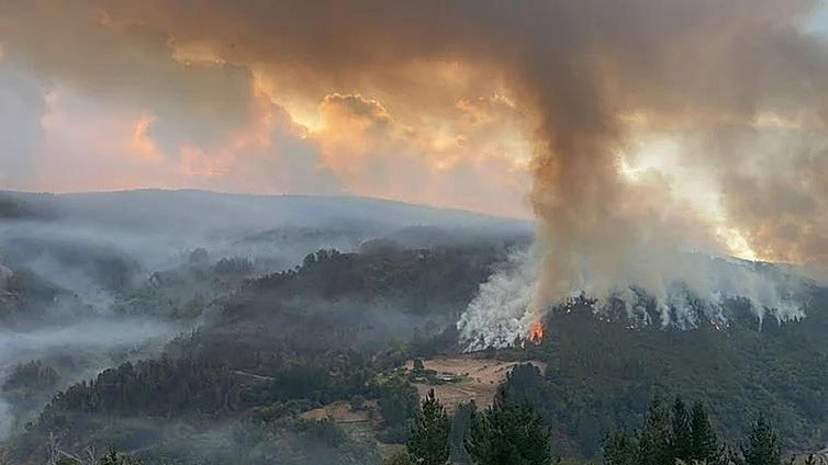 Asturias vuelca todos los esfuerzos en el incendio de Ibias, «es el que más nos preocupa»