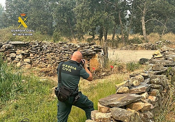 La Guardia Civil investiga el origen de uno de los incendios que están arrasado Castilla y León este verano.
