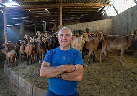 Ramiro Folla posa en el interior de las naves donde guarda a su rebaño de cabras que les sirvió de refugio a todos durante el incendio
