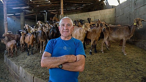 El pueblo de nueve habitantes que no ardió por los rumiantes