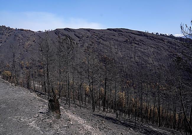 Arredores de San Xulian com todo o Monte Quemado.