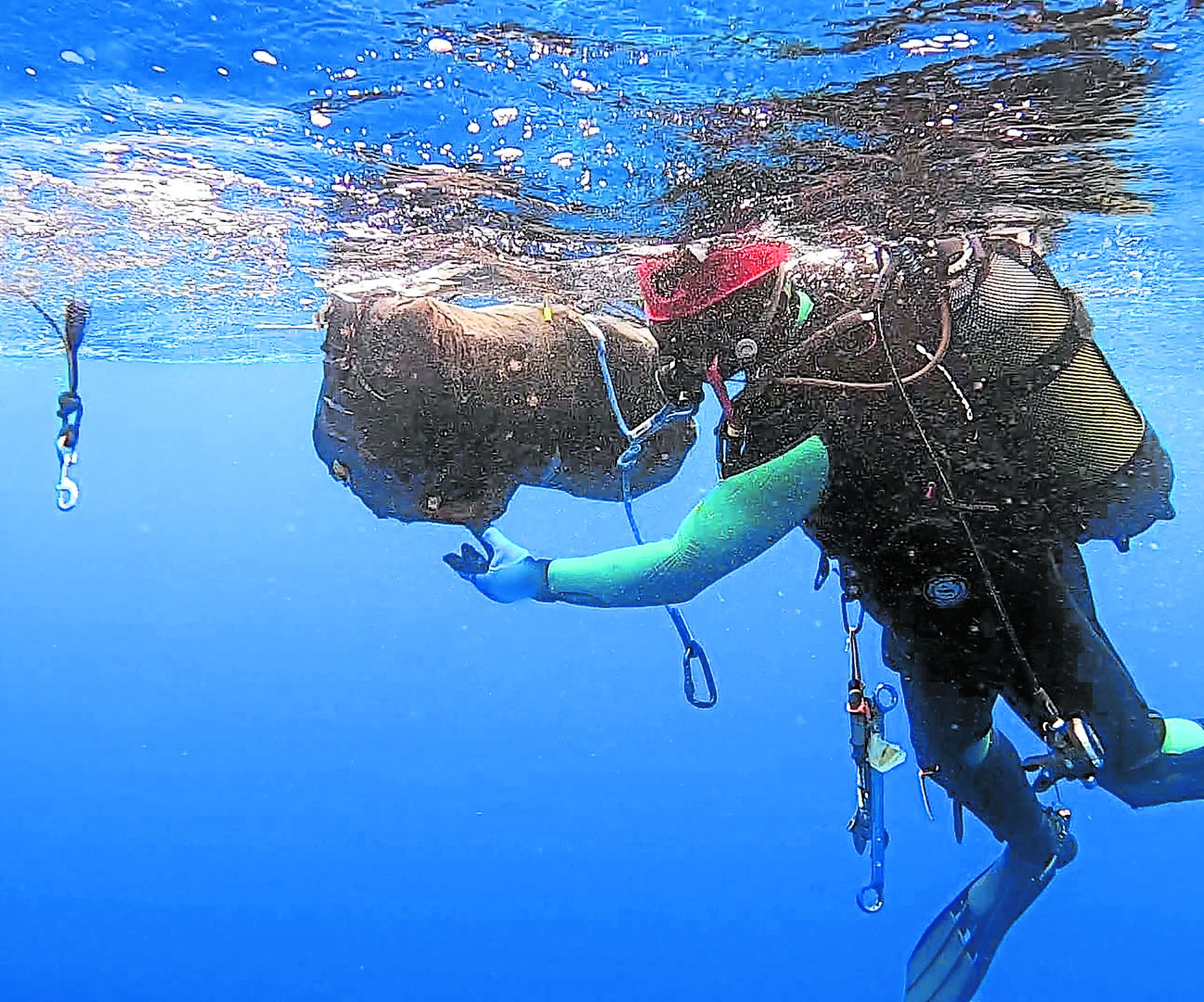 Los narcos recurren a submarinistas experimentados para llevar a cabo sus operaciones.