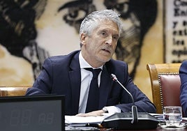 El ministro Marlaska, durante su comparecencia en el Senado.