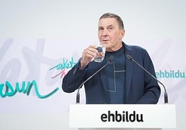 El secretario general de EH Bildu, Arnaldo Otegi, durante una rueda de prensa