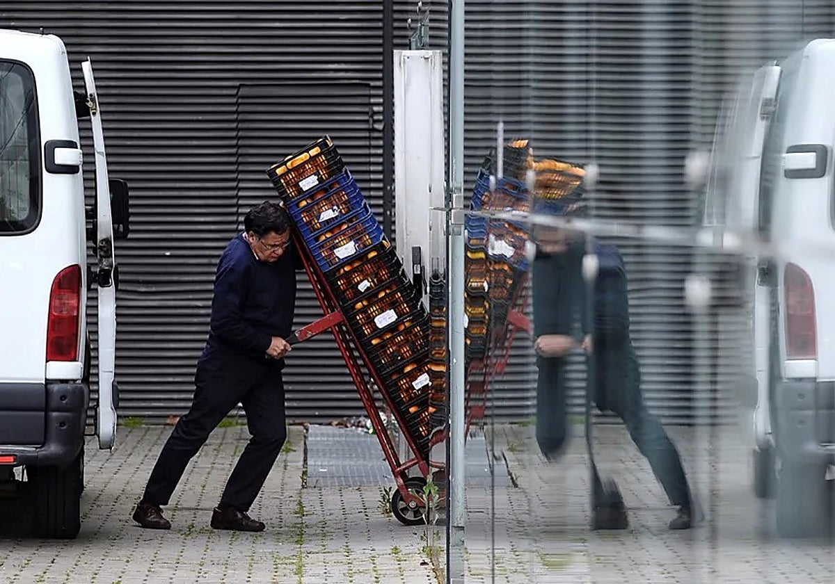 Un trabajador acarrea naranjas
