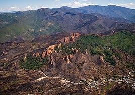 Así han quedado las zonas de Ourense, León y Zamora afectadas por los incendios