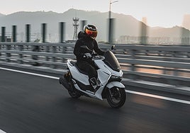 Nuevo Letbe Island 125