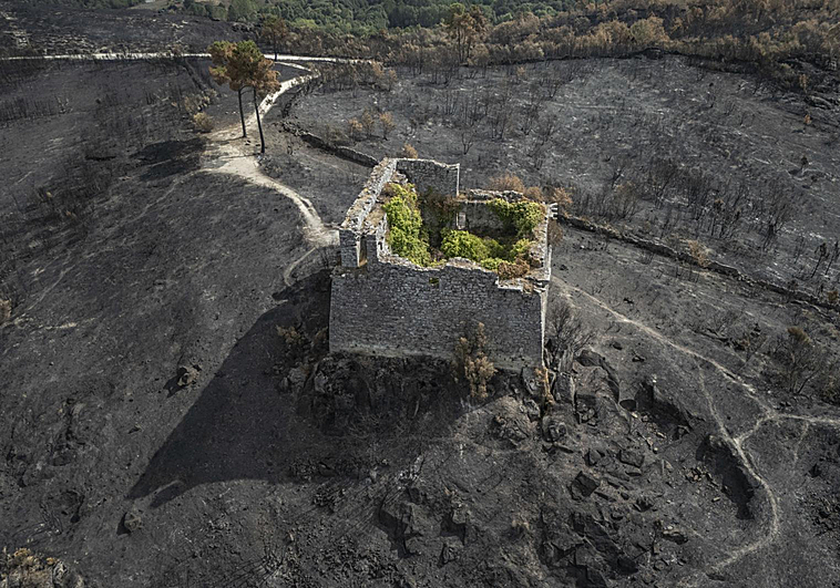 La última actualización de Copernicus rebaja a 336.345 las hectáreas quemadas en agosto, un 7% menos de lo previsto