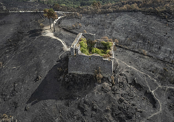 La última actualización de Copernicus rebaja a 336.345 las hectáreas quemadas en agosto, un 7% menos de lo previsto