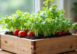 Cultivar verduras ecológicas en casa es posible con este mini huerto urbano
