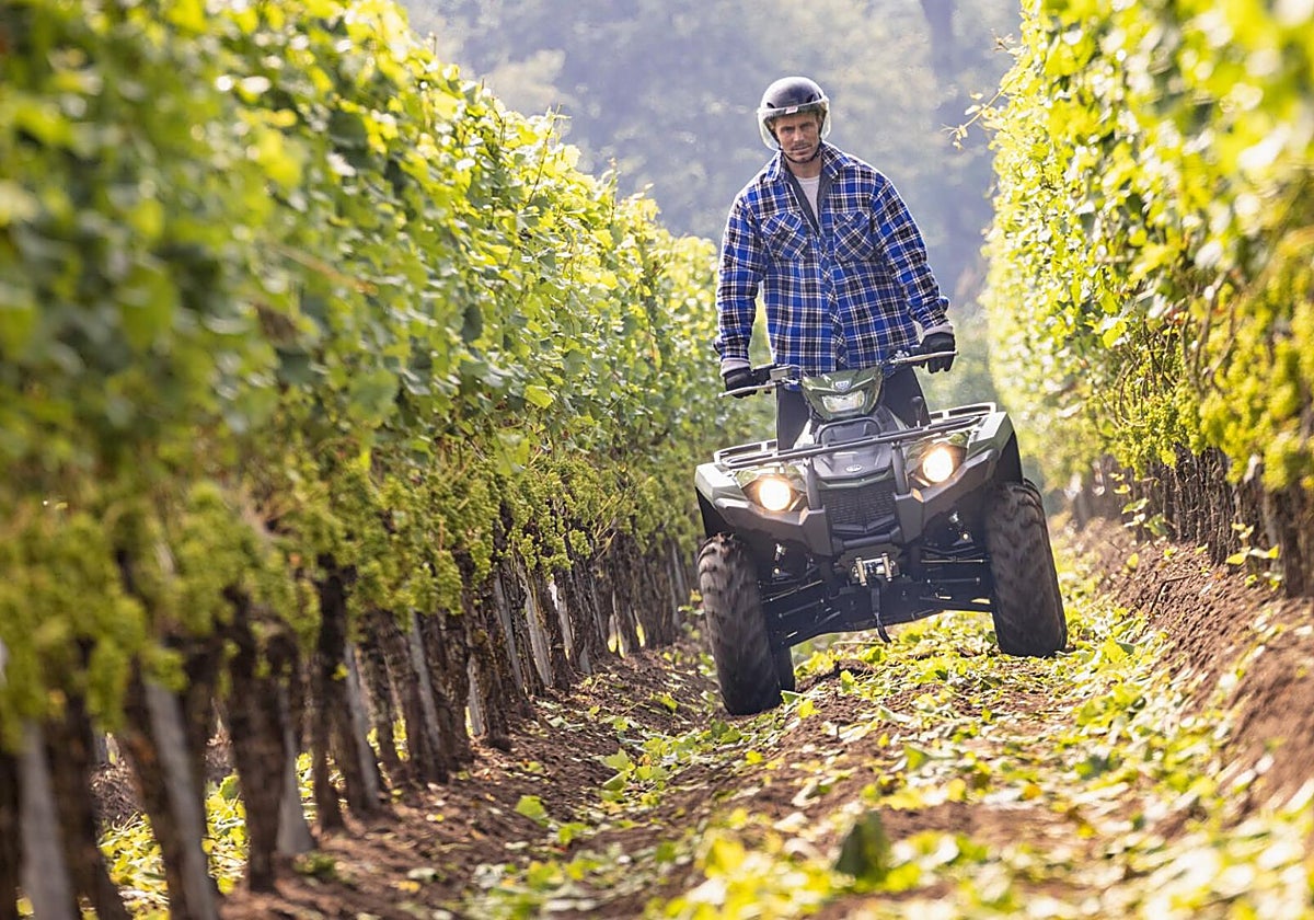 Puden moverse con total seguridad entre las hileras de viñas sin dañar las plantas