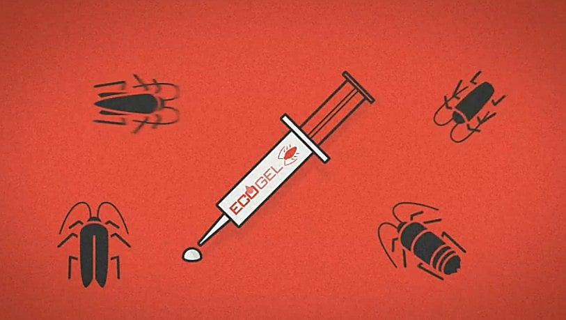 Necesitas esta jeringuilla contra cucarachas con resultado profesional y seguro para plagas domésticas