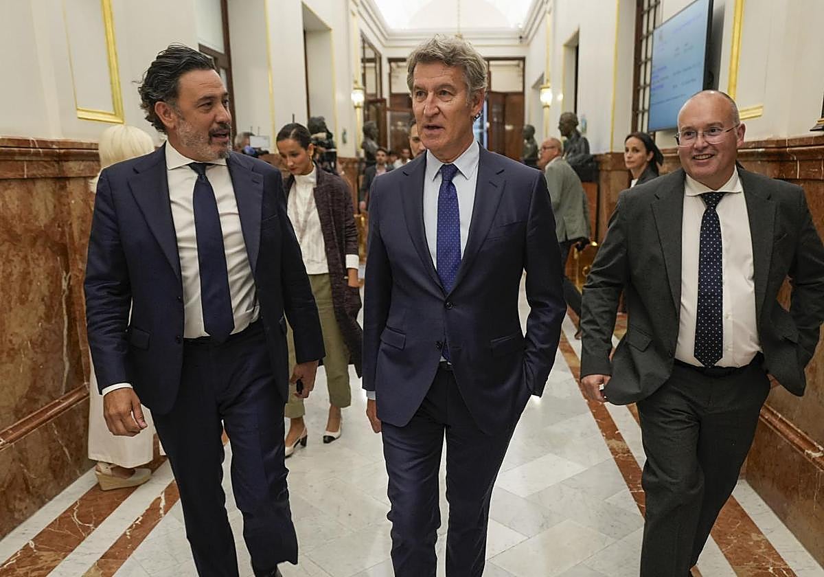 Alberto Núñez Feijóo, en el Congreso