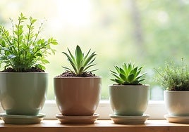 Mantén tus plantas saludables con estas macetas de autorriego decorativas para interior