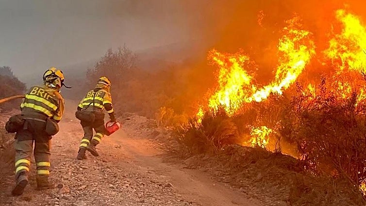 Muere un hombre en un incendio forestal en Villarejo de Órbigo (León)