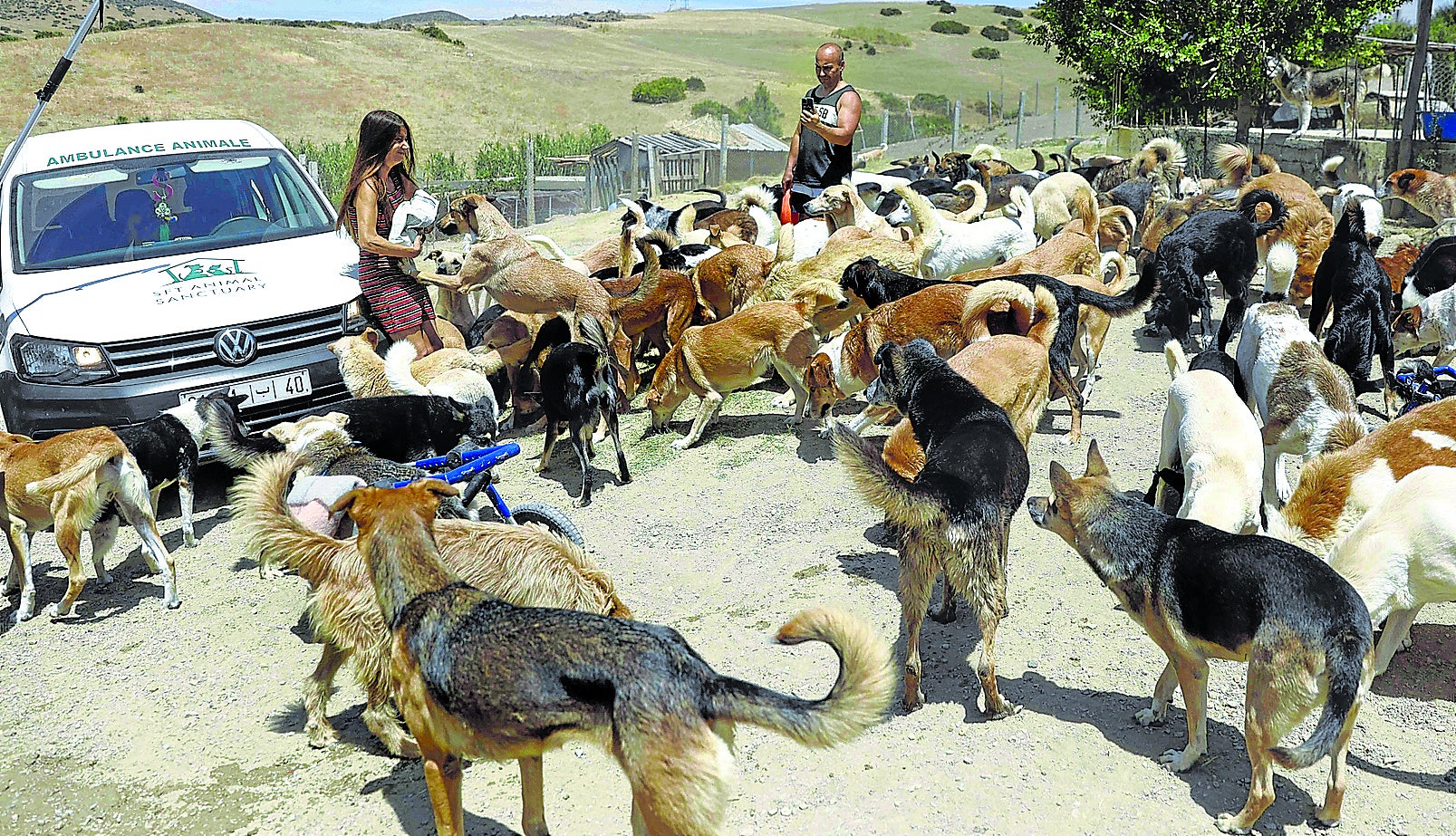 Uno de los refugios para perros callejeros en Tánger.