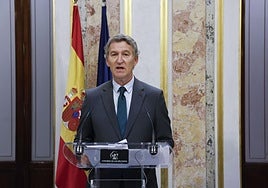 Alberto Núñez Feijóo, en el Congreso.