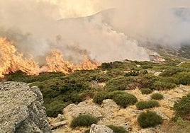 Fotos del incendio de Guadalajara, que ha obligado a desalojar dos pueblos.