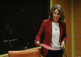 La fiscal del País Vasco admite que el 'caso Bernedo' ha estado «meses parado» en el Juzgado de Vitoria