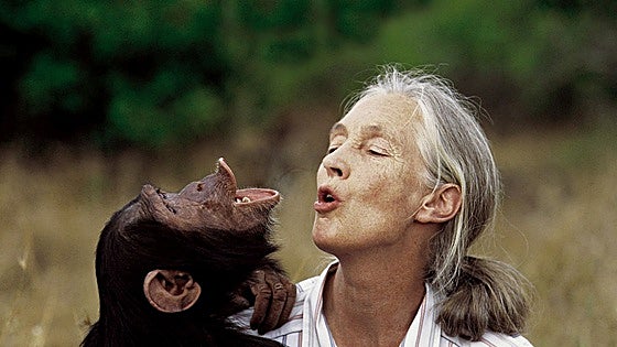 La vida de Jane Goodall, en imágenes