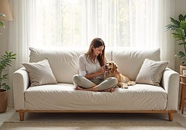 Evita sustos y disfruta sin miedo de tu sofá con estas fundas transpirables