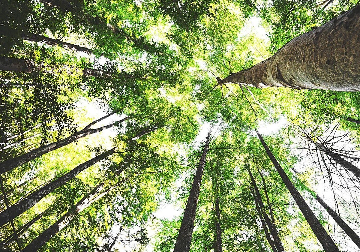 In a significant step towards more sustainable production