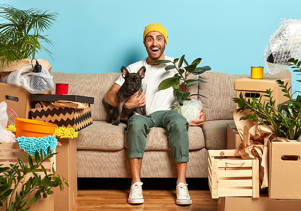 Fiesta de Ofertas Prime de Amazon: un hogar más cómodo para ti y para tus mascotas no tiene precio