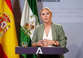 Carolina España informa del contenido del plan de choque.