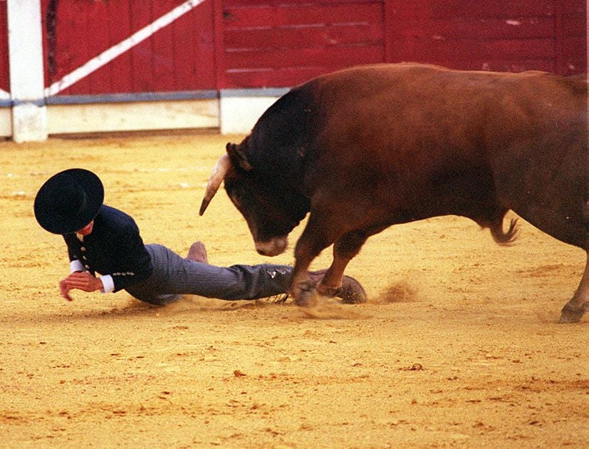 Festival Taurino pro-restauración de la centenaria plaza de toros de Haro.