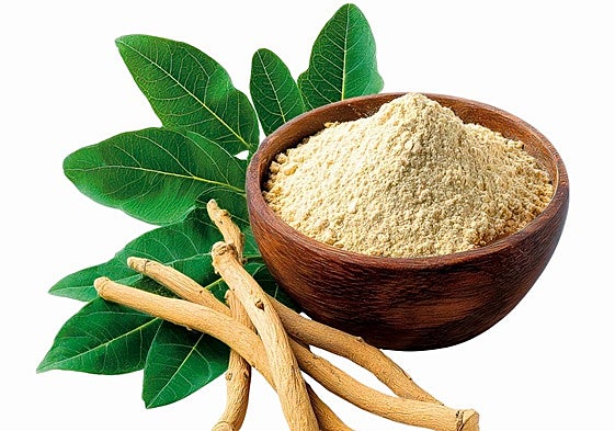 Mejora del sueño, la memoria, el sexo... Cómo tomar ashwaganda para optimizar sus efectos