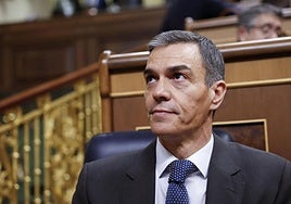 El presidente del Gobierno, Pedro Sánchez.