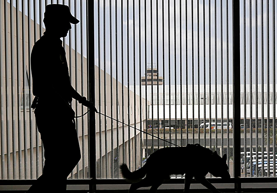 Detenido en Palma por acuchillar en el cuello a su mujer