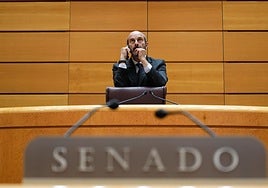 El persidente del Senado, Pedro Rollán.