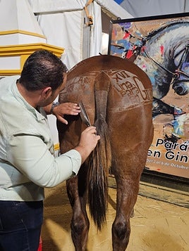 El último esquilador artístico de España está en Ciudad Real