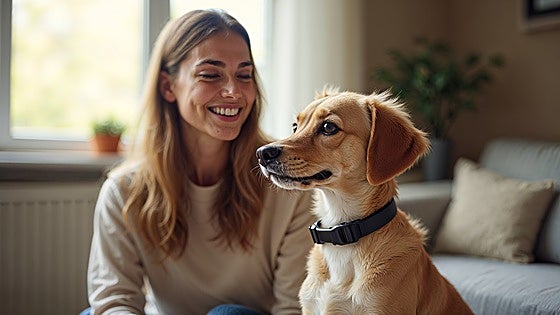 Controla los ladridos de tu perro con estos collares de adiestramiento compactos